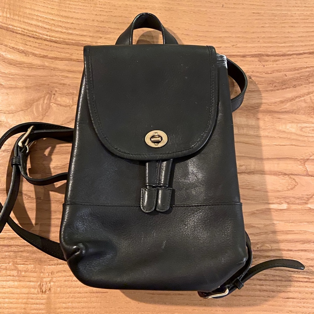 Coach mini-purse. Great condition-small spot of white paint near the opening.